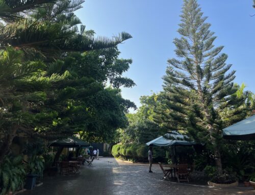 Green Paradise Hotel