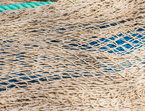 Badmaal Fishing Company