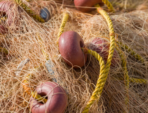 Ardo Fishing Company