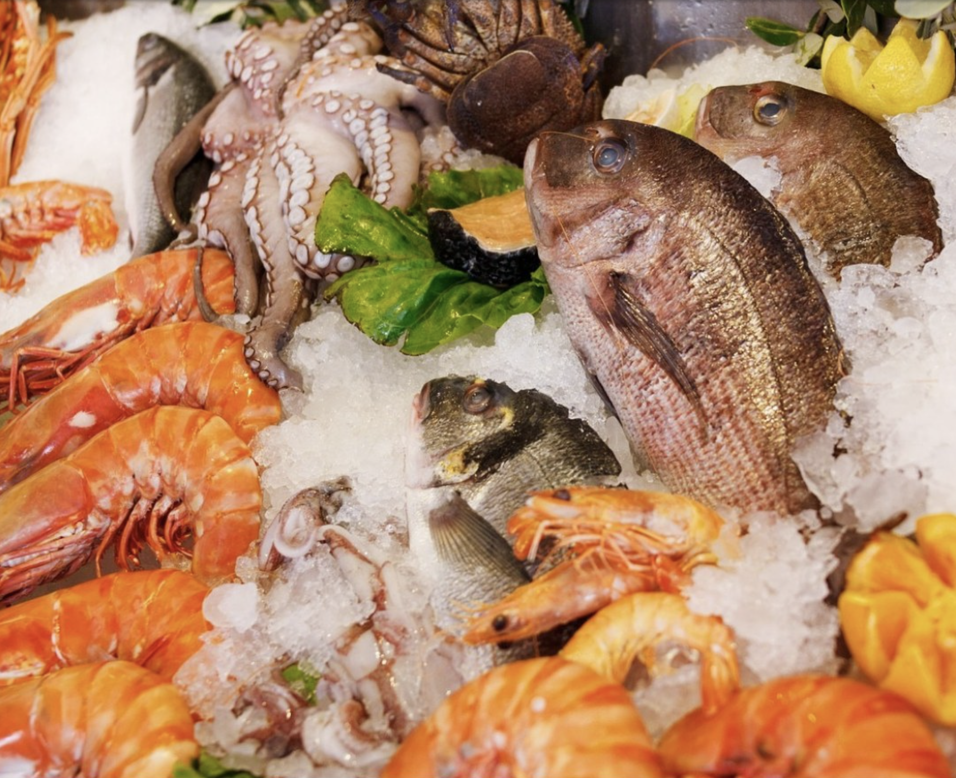 Fresh caught fish, octopus, and shrimp laying on ice