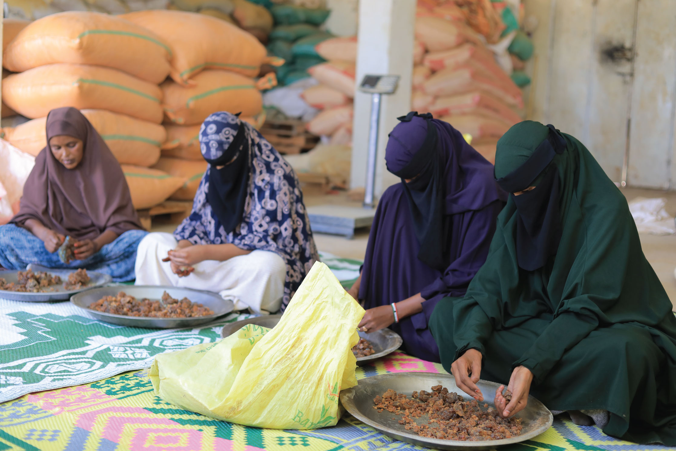 Allamangan Gums & Resins women sorting material